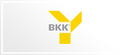 BKK Ernst Young